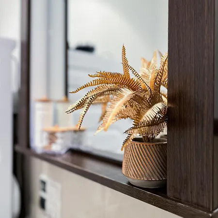 Erstklassiges Ferienapartment Citynah Mit 1 Schlafzimmer - Wifi, Tv, Kuechenzeile, Waschmaschine&trockner Lipsia